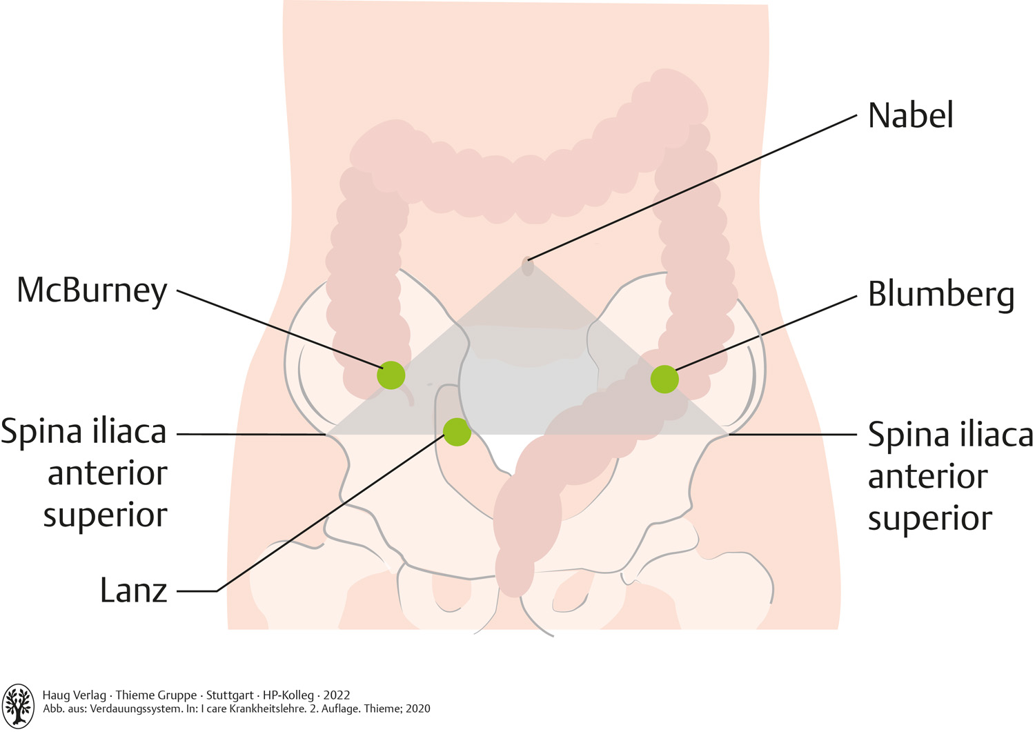 9 Ernährung und Verdauung HPKolleg